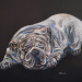 Velké sny, 80×80, pastel, 2018